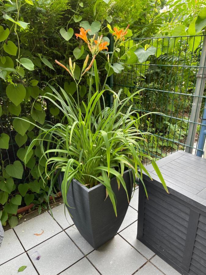 Sonnige Wohnung Im Zentrum Mit Terrasse U Tiefgarage - Netflix & Prime 라이프치히 외부 사진
